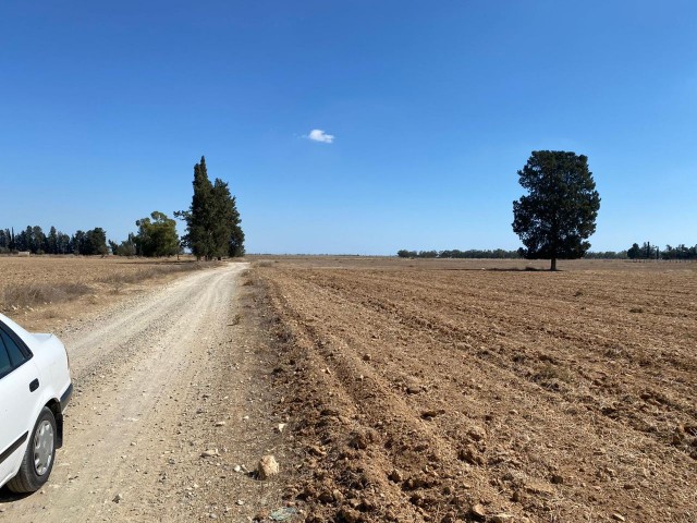 GRUNDSTÜCKE ZUM VERKAUF IN TURKMENKÖY ** 