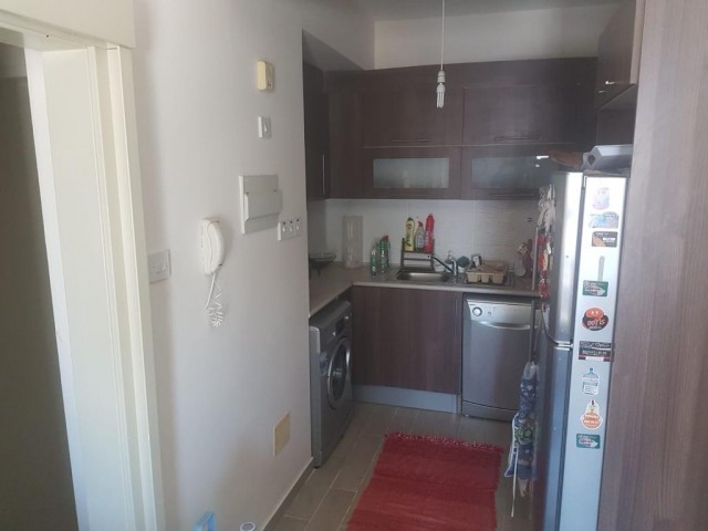 1+1 flat for rent on Salamis street in Famagusta, 5 minutes walking distance from the school ‼️