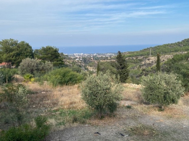 Villa zum Verkauf in Doğanköy, Kyrenia