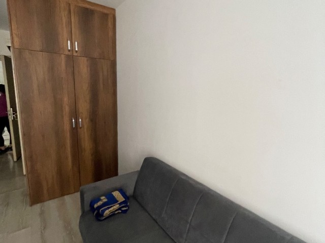 Studio Flat for rent from July to July at special promotional prices for early registration, 10 minutes walking distance from DAÜ ❕❕