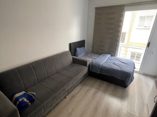Studio Flat for rent from July to July at special promotional prices for early registration, 10 minutes walking distance from DAÜ ❕❕