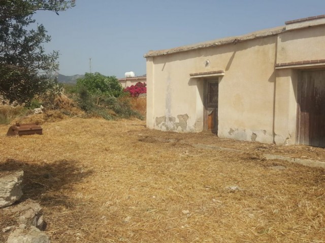 Denize yakın koy evi