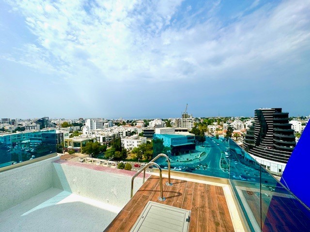 RESTAURANT/BAR - PENTHOUSE WITH COMMERCIAL PERMIT OR FOR RENT WITH SWIMMING POOL! NO COMMISSION!!