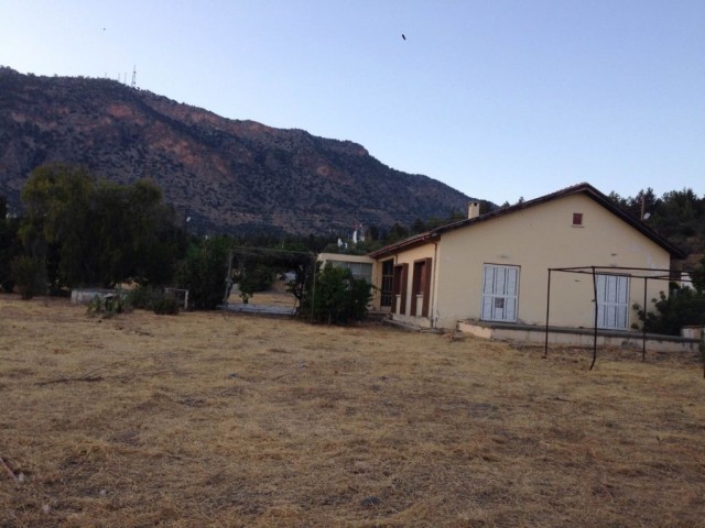 منطقه مسکونی برای فروش in Boğaz, گیرنه