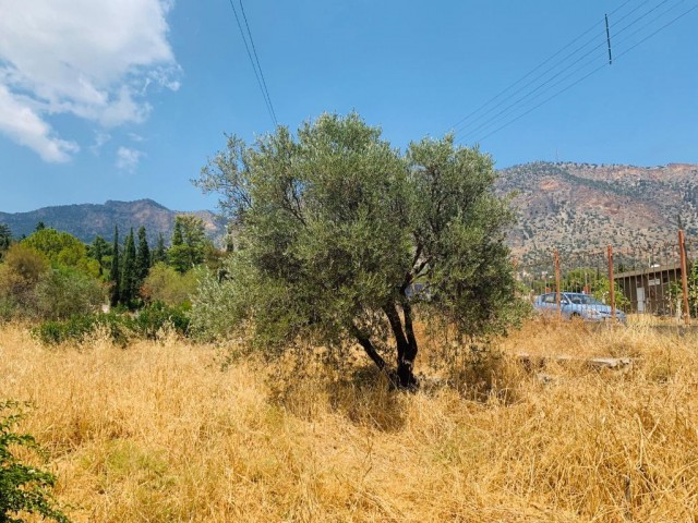 Residential Zoned Plot For Sale in Boğaz, Kyrenia