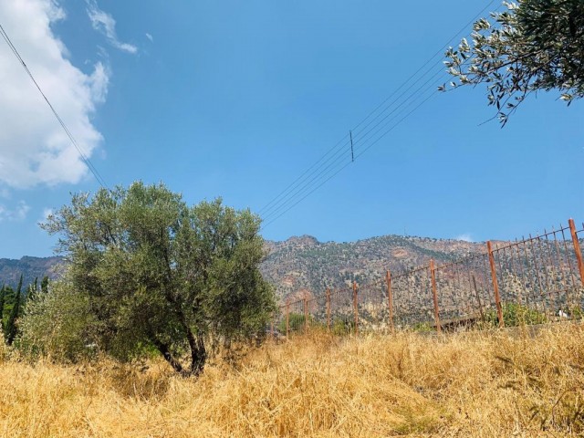 Residential Zoned Plot For Sale in Boğaz, Kyrenia