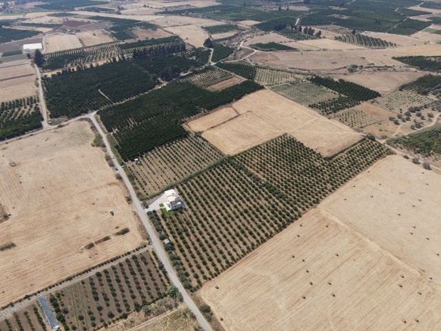 Güzelyurt'un Değeri En Hızlı Yükselen Bölgesinde, Merkez'e 2 dk. Mesafede 14,179 m2 YATIRIM FIRSATI!