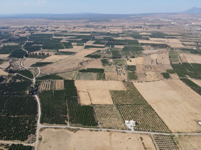 Güzelyurt'un Değeri En Hızlı Yükselen Bölgesinde, Merkez'e 2 dk. Mesafede 14,179 m2 YATIRIM FIRSATI!