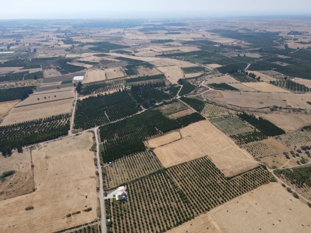 Güzelyurt mehlwert steigt am schnellsten in der Region, Zentrum e 2 min. Investitionsmöglichkeit in einer Entfernung von 14.179 m2! ** 