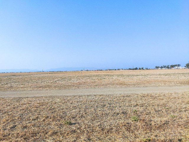 A Dec plot for sale at a distance of 100 m from the highway on all four roads is a qualified field ** 