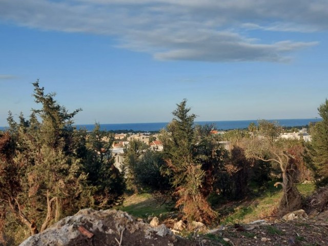 Residential Zoned Plot For Sale in Çatalköy, Kyrenia