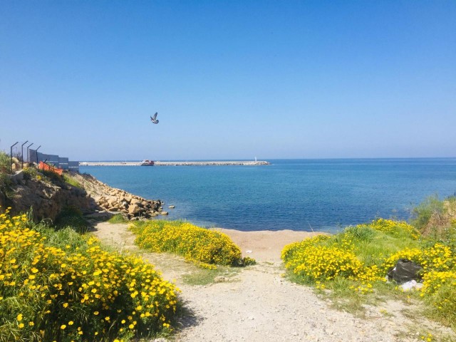 квартира Арендовать in Girne Merkez, Кирения