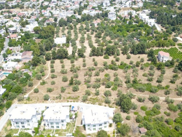 LAND FOR SALE IN OLIVE ** 