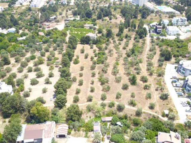 LAND FOR SALE IN OLIVE ** 