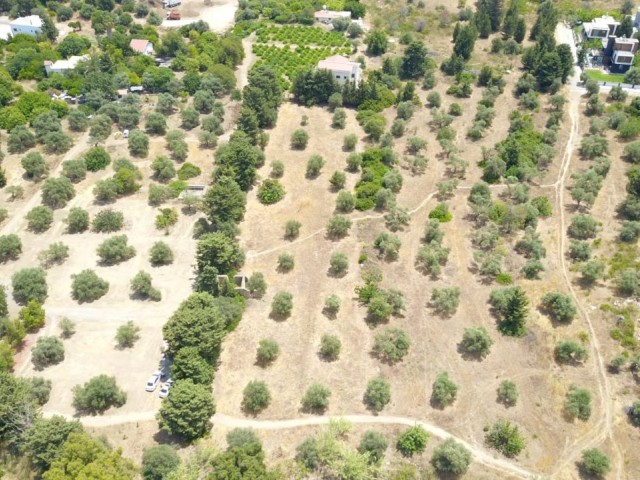 LAND FOR SALE IN OLIVE ** 