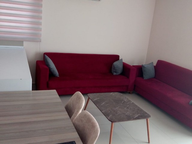 2+1 apartment for Rent