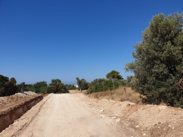 LAND FOR SALE IN OZANKOY ** 