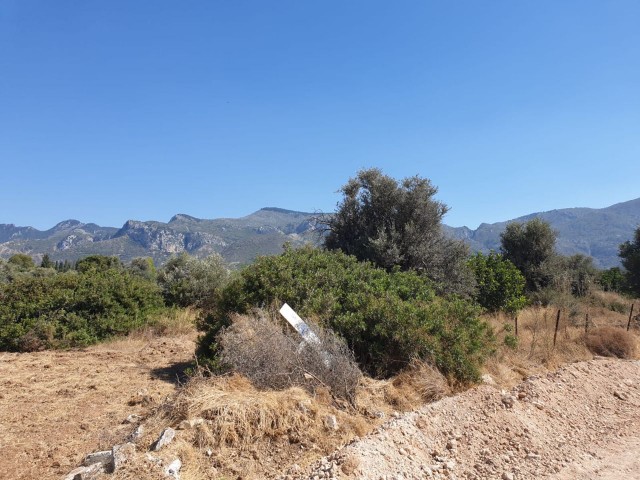 LAND FOR SALE IN OZANKOY ** 