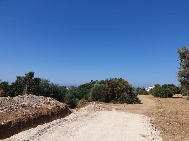 LAND FOR SALE IN OZANKOY ** 