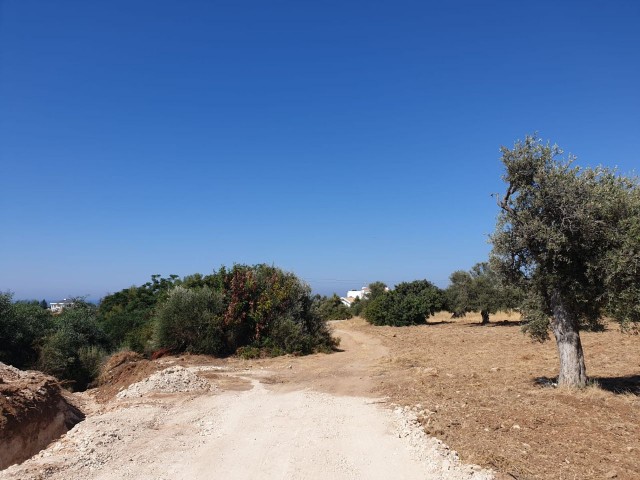 LAND FOR SALE IN OZANKOY ** 