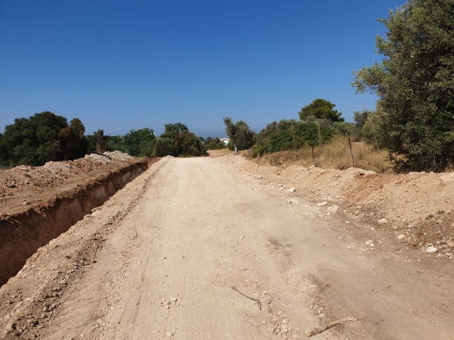 LAND ZUM VERKAUF IN OZANKÖY ** 