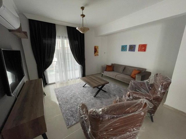 3+1 house for rent in lord palace area