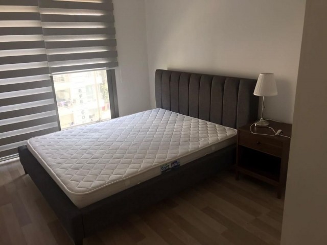 2+1 apartment for Rent