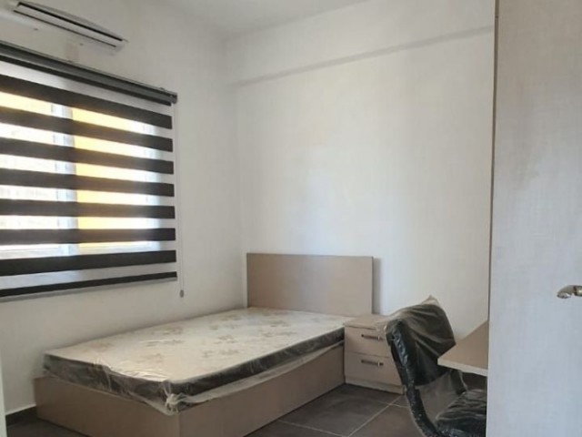 Rent 2+1 apt Lefkosa