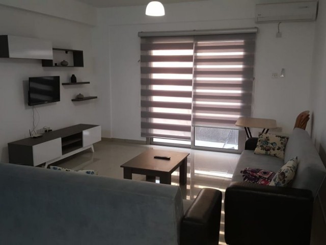 2+1 apartment for rent