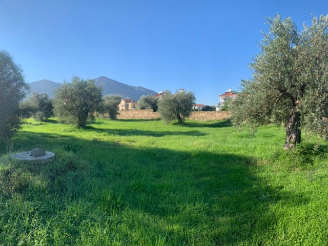 Residential Zoned Plot For Sale in Ozanköy, Kyrenia