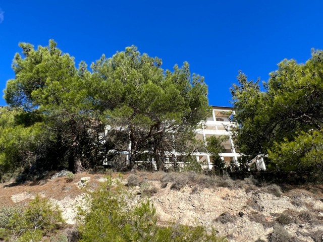 VILLA FOR SALE IN GIRNE-BOGAZ, WITHIN 6 DECORATIONS OF LAND, ON THE MOUNTAIN Slope