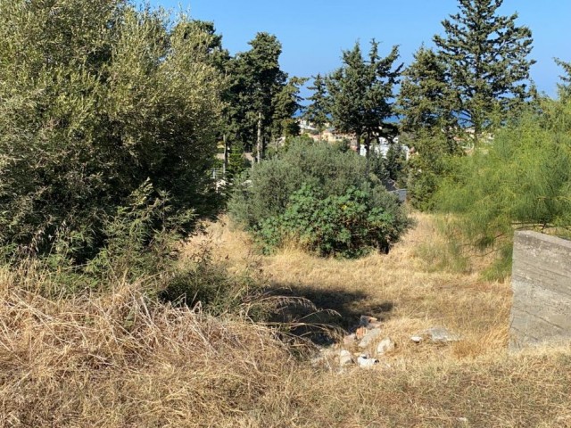 LAND FOR SALE IN EDREMIT