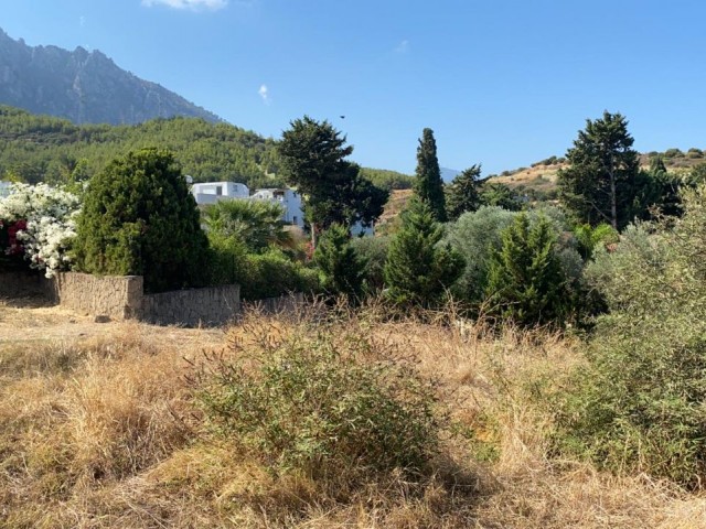 LAND FOR SALE IN EDREMIT