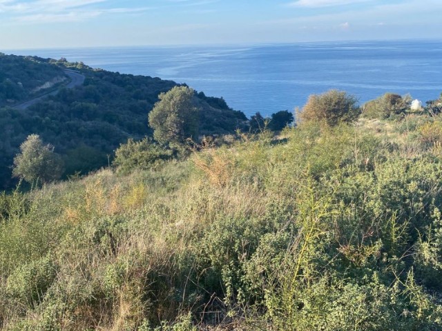 LAND FOR SALE IN KYRENIA KAYALAR REGION