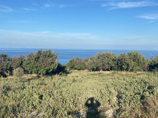 LAND FOR SALE IN KYRENIA KAYALAR REGION