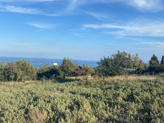 LAND FOR SALE IN KYRENIA KAYALAR REGION