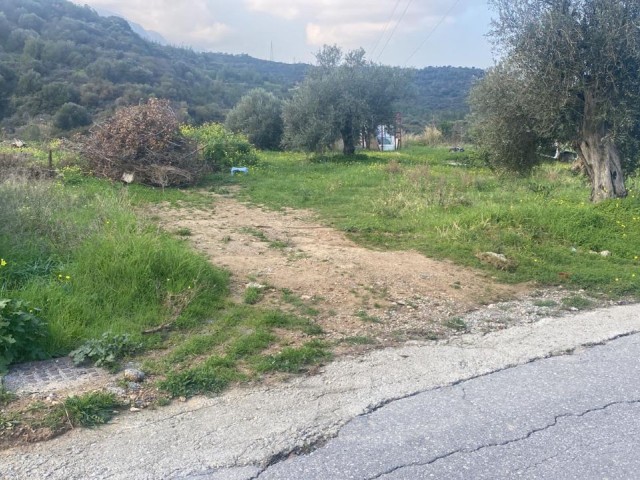 LAND FOR SALE IN ALSANCAK YESILTEPE