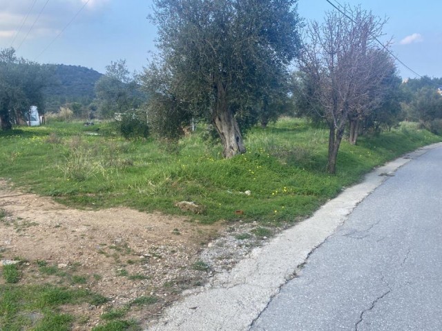 LAND FOR SALE IN ALSANCAK YESILTEPE