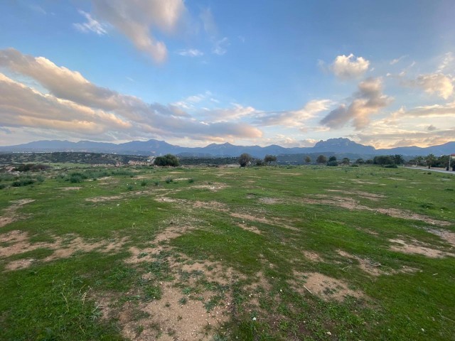 LAND FOR SALE IN KYRENIA