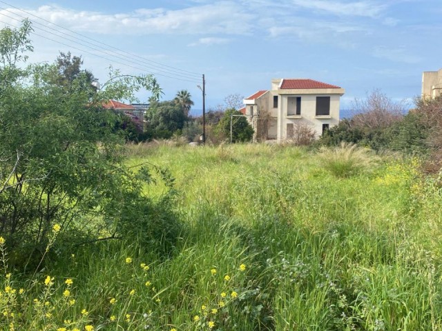 LAND ZU VERKAUFEN IN GİRNE ÇATALKÖY