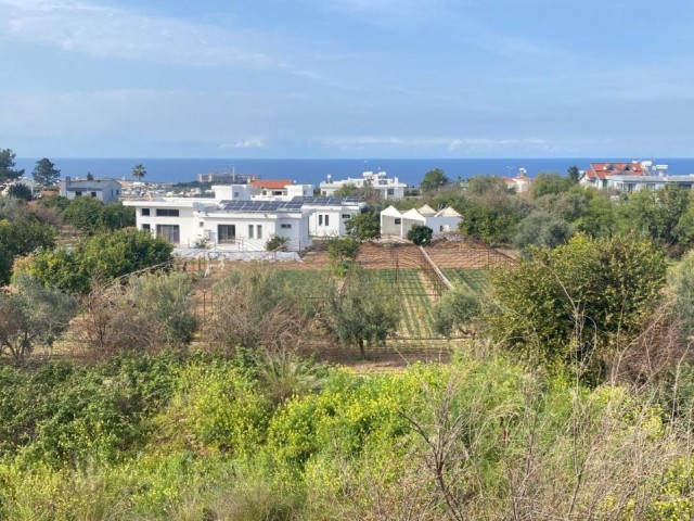 LAND FOR SALE IN GİRNE ÇATALKÖY