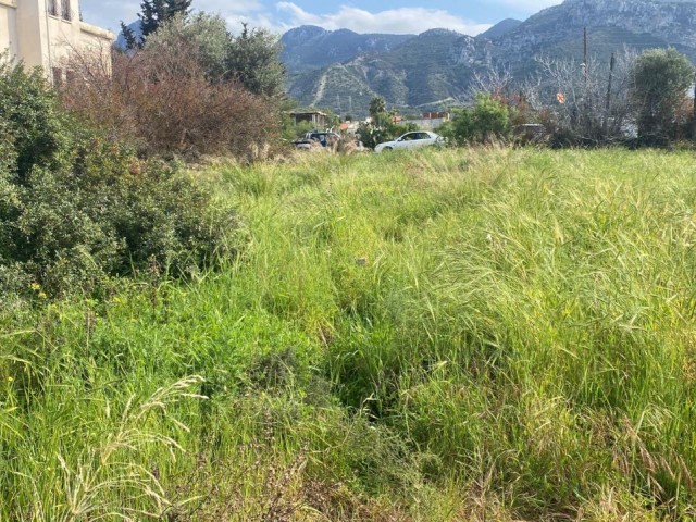 LAND ZU VERKAUFEN IN GİRNE ÇATALKÖY