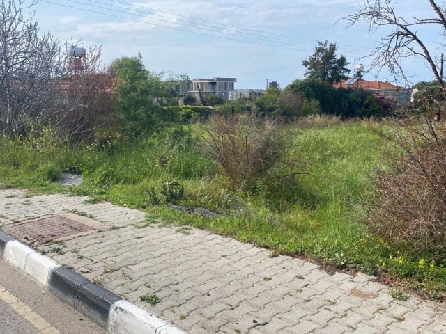 LAND FOR SALE IN GİRNE ÇATALKÖY