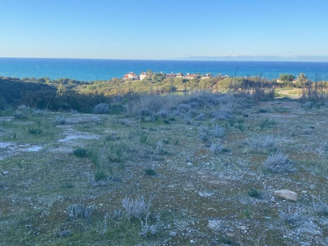 LAND FOR SALE IN GİRNE KARŞIYAKA