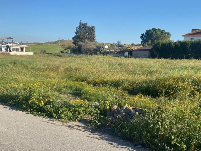 GRUNDSTÜCKE IN LEFKOŞA ZU VERKAUFEN