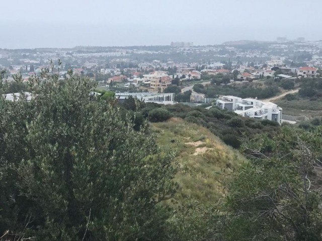 GRUNDSTÜCK MIT TÜRKISCHER MÜNZE + OLIVENBÄUMEN IN BELLAPAIS-GIRNE