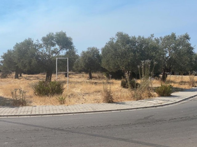 منطقه مسکونی برای فروش in Ozanköy, گیرنه