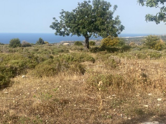 Residential Zoned Plot For Sale in Beşparmak, Kyrenia