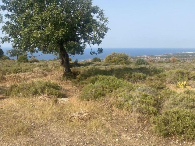 Residential Zoned Plot For Sale in Beşparmak, Kyrenia