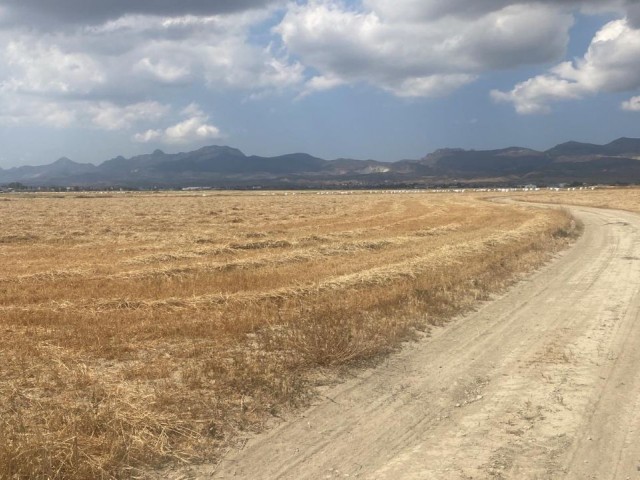 LANDWIRTSCHAFTLICHES GRUNDSTÜCK IN NIKOSIA ZU VERKAUFEN